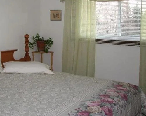 A Pillow and Toast