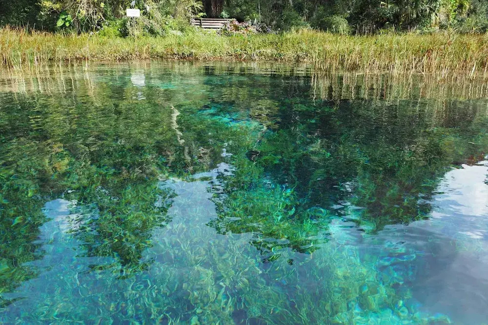 Rainbow River Home w/ Private Kayak Dock