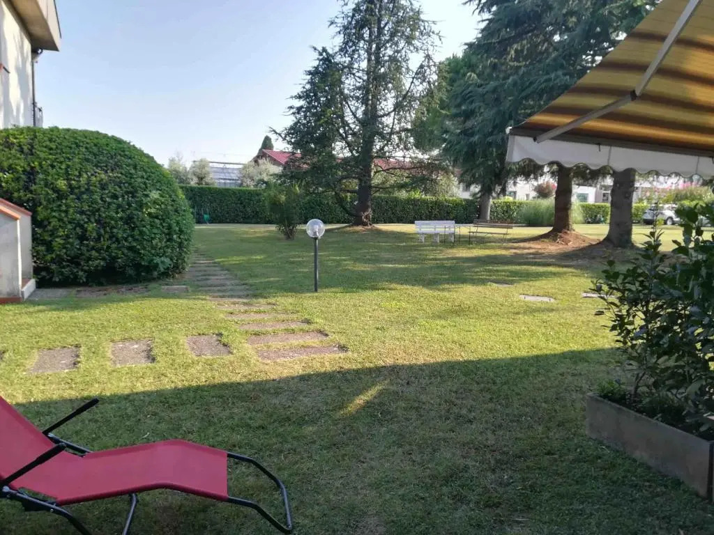 Prato Verde - Girasole
