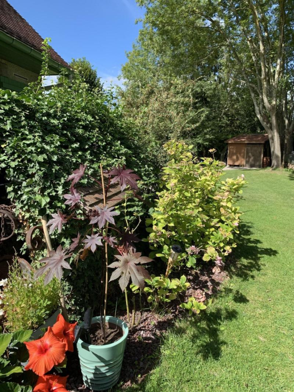 LOrée de Giverny