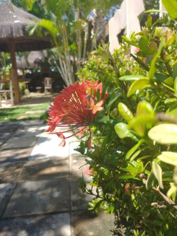 Hotel Pousada Praias Belas
