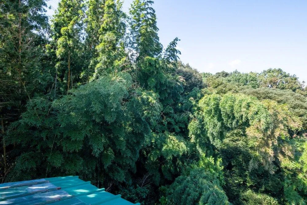 Villent Ocean View Ito Kawana