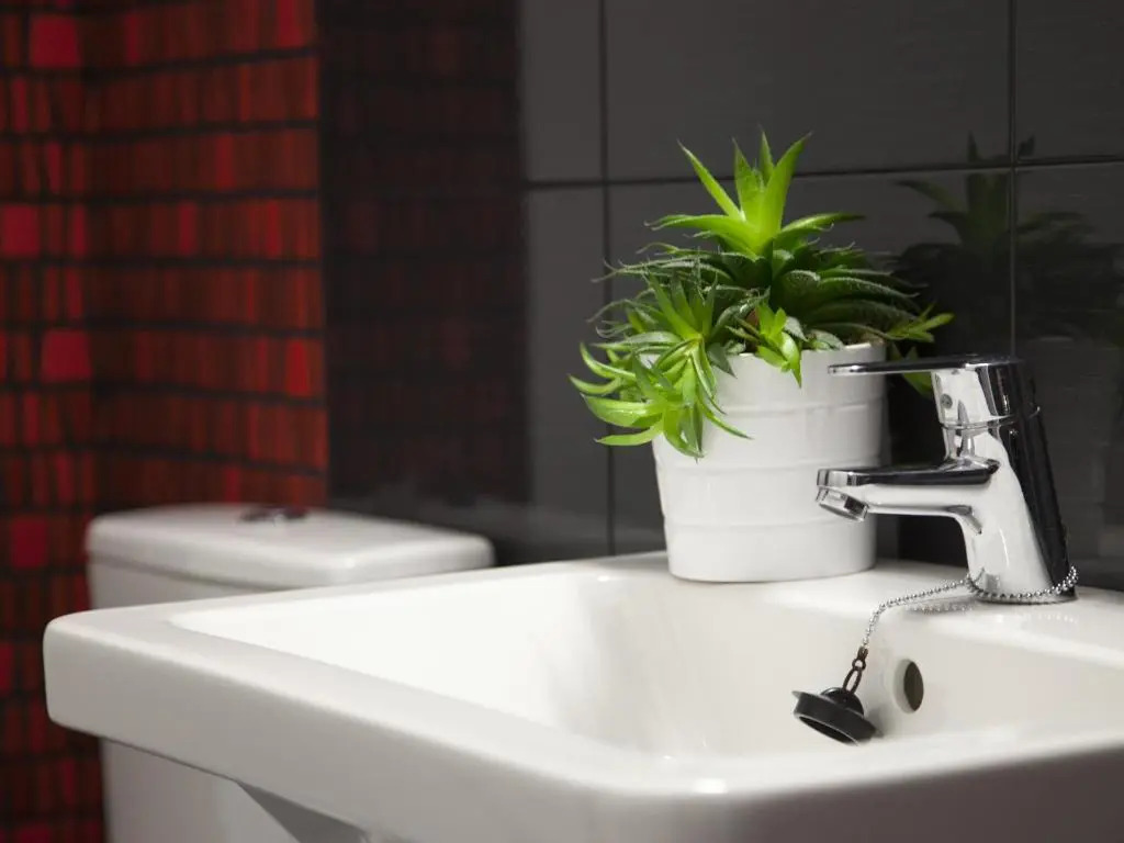 Apartaments Atzavara