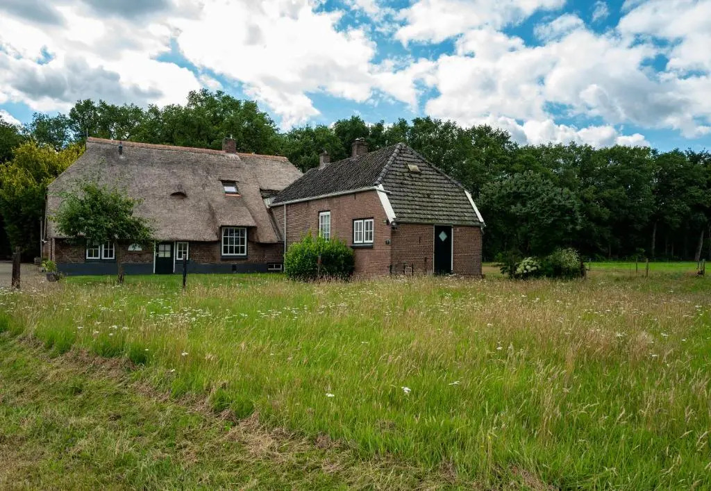 Tranquility Farm