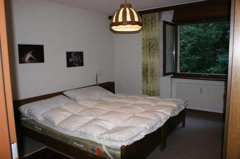 Lärchenwald 1706