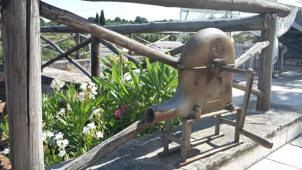 Trulli Bosco Selva