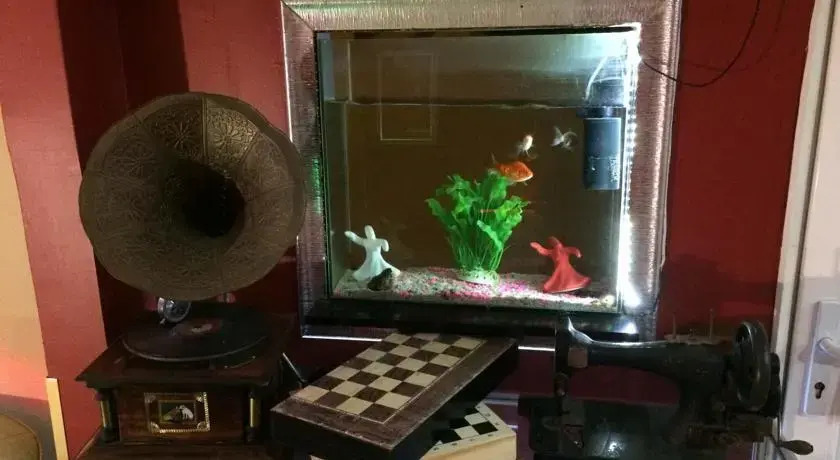 Joker House