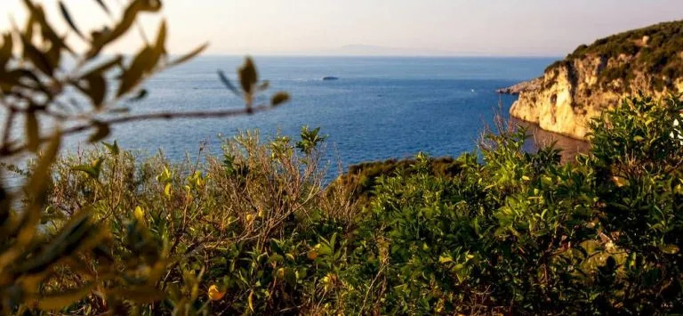 Villa Dafne Gulf Views Pool and Guest Services by Feeling Italy