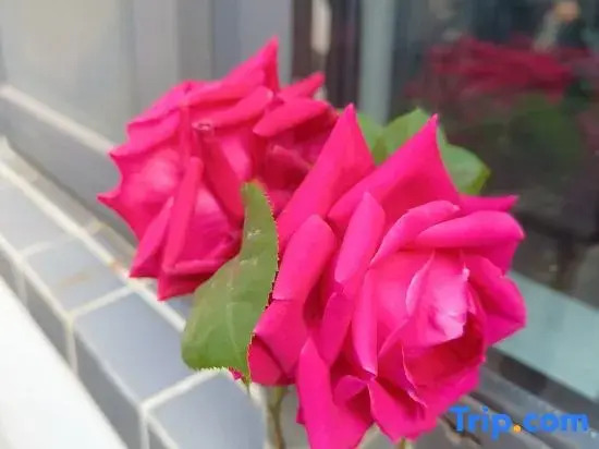 Other Country Homestay (Qufu Sankong Scenic Area)