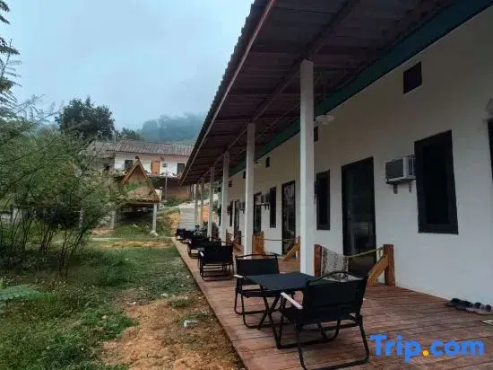 Mimosa Backpackers Hostel