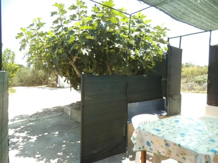 Valle Verde N 1