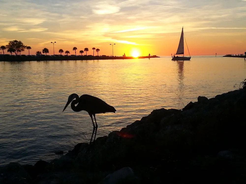 A Beach Retreat on Casey Key