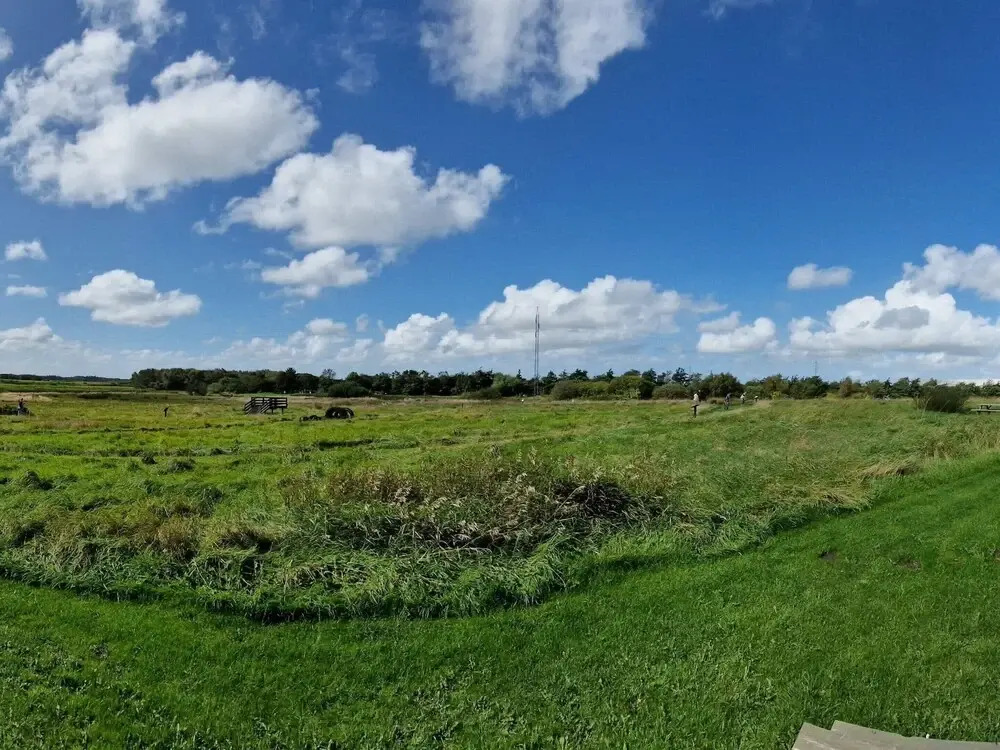 6 person holiday home in Oksbøl-By Traum