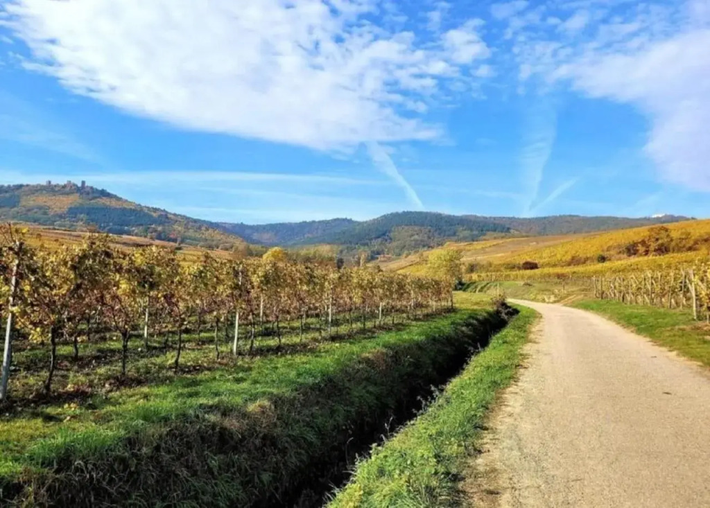 Gîte S'hisla Im Raabland