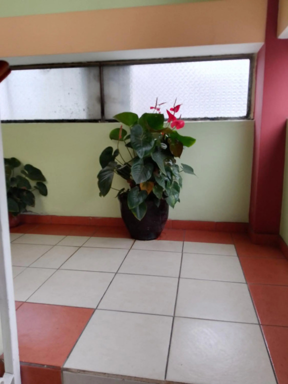 Hotel Amazonia y sol