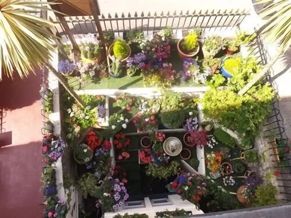 Rosita Guest House