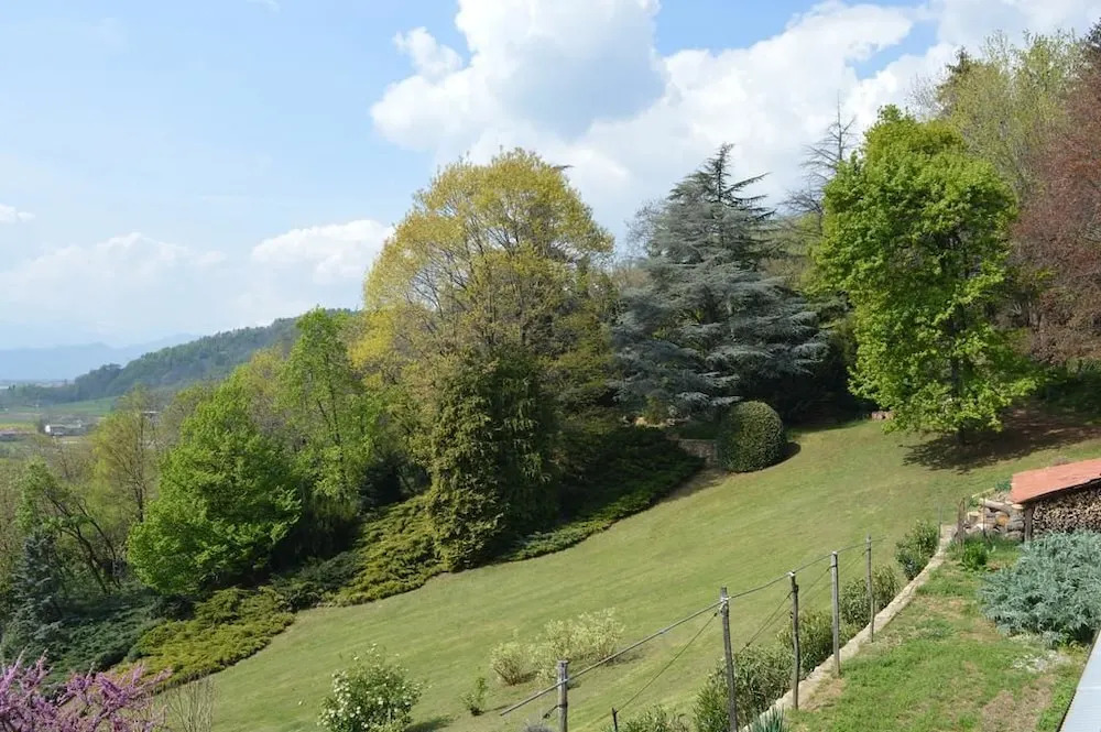 Luovo e la faina