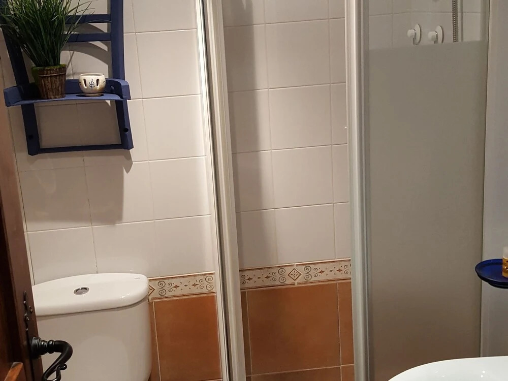 Classic Apartment in Anciles Pyrenees near Benasque Valley