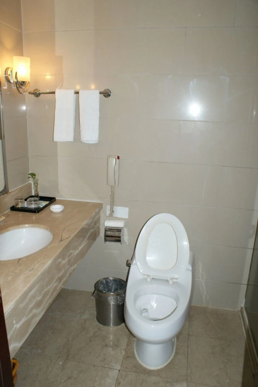 Dacheng Pure Love Hotel