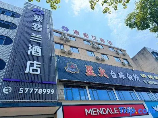 Violet Hotel