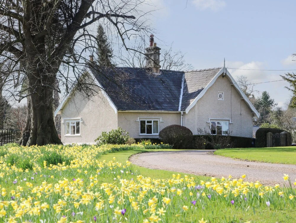 The Lodge