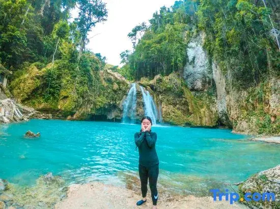 Treeshade Resort & Spa Moalboal