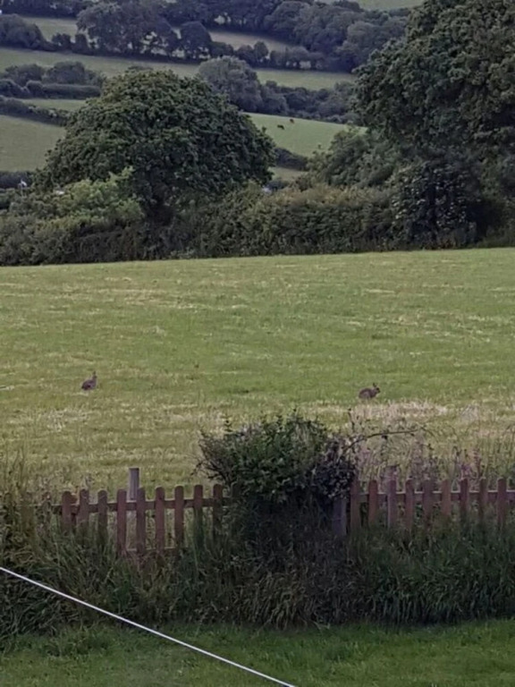 Ryelands B&B