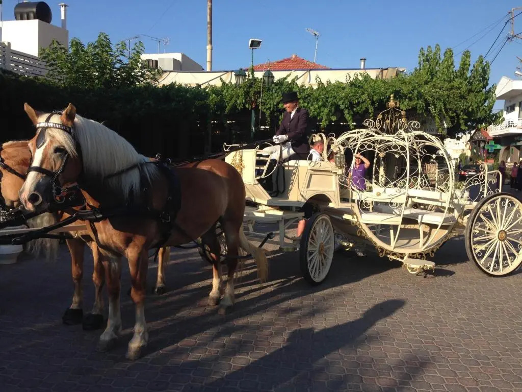 Arion Stables & Apartments