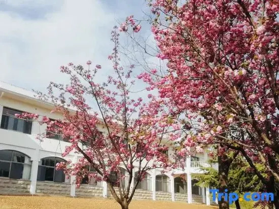 Wubenju Hotel