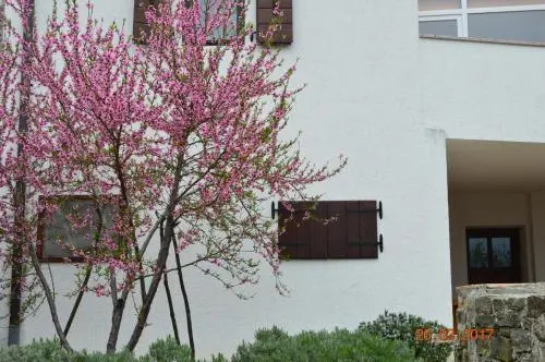 House of Veli Joze
