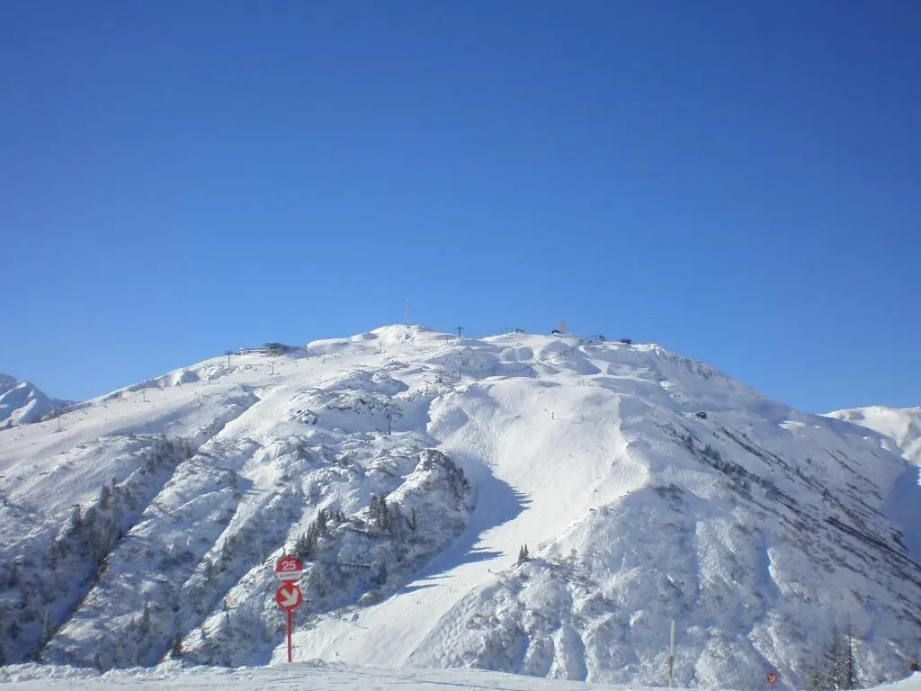 Apartments Alpenrose