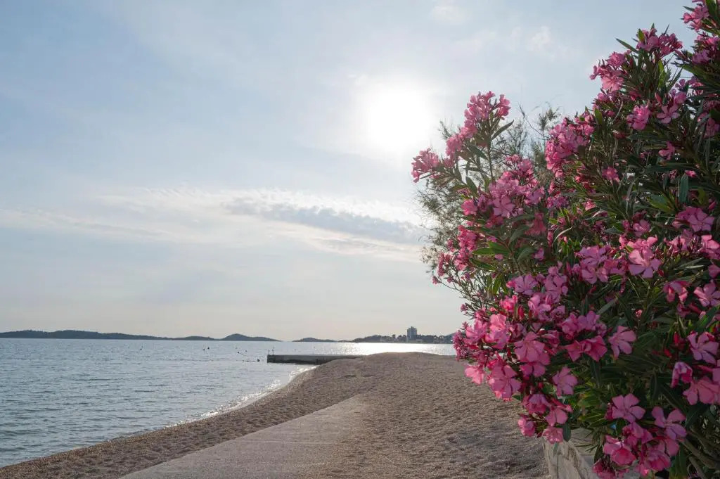 Beach Apartments Marijana