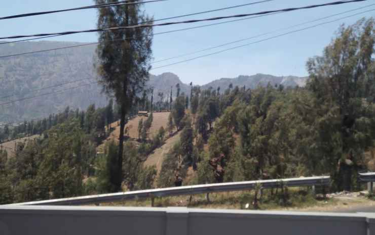 Homestay Ricky 2 Gunung Bromo