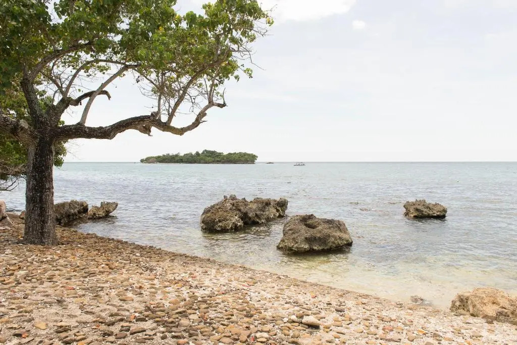 Paradise on the Rocks