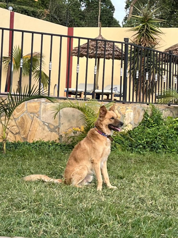 Stasumo House Arusha