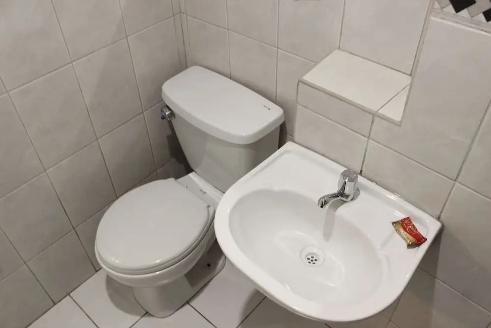 Apart y Hostal "El Puma"