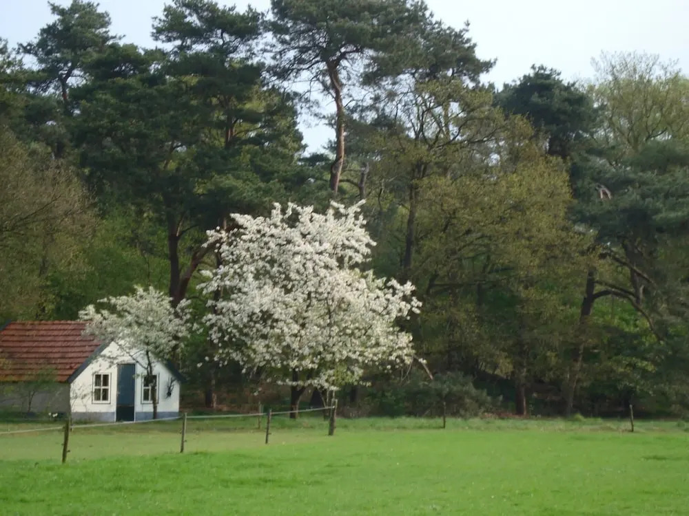 Holiday Home near Sallandse Heuvelrug