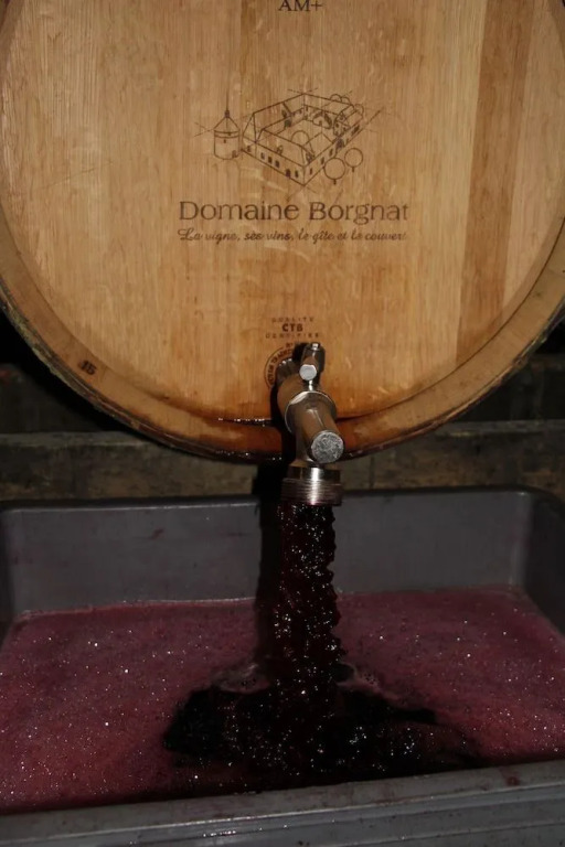 Maison Borgnat domaine viticole