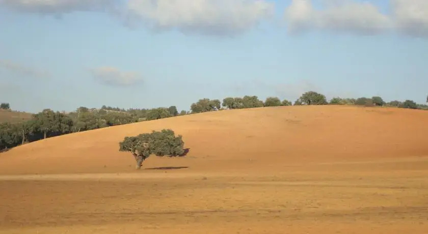 Herdade da Fonte Branca