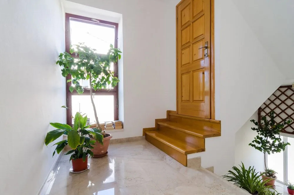 Apartments Palma