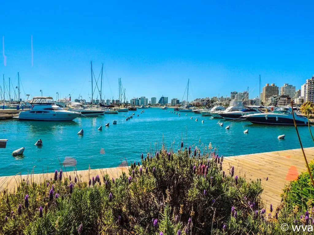 Increible Vista al mar Centro de Punta del Este