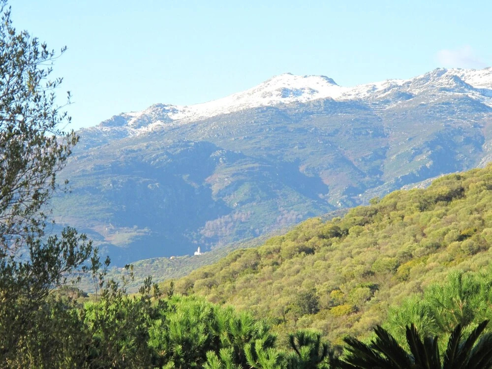 Apartment With one Bedroom in Saint Florent, With Pool Access and Encl