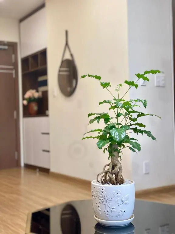 Ivy Apartment - A cozy 2-bedroom apartment perfect for Ha Long Getaway