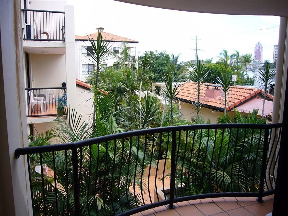 Chevron Palms