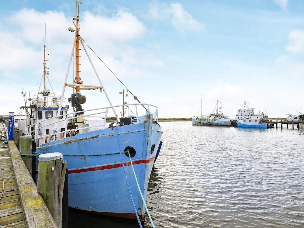 Luxurious Holiday Home in Jutland With Whirlpool