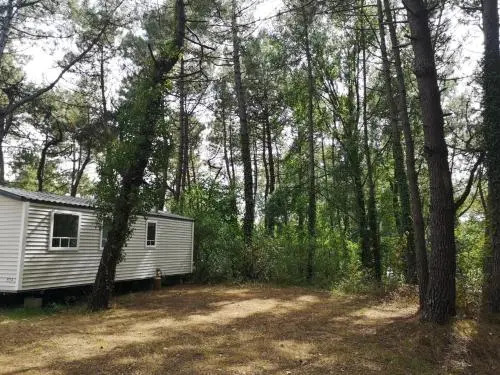 Camping la dune blanche