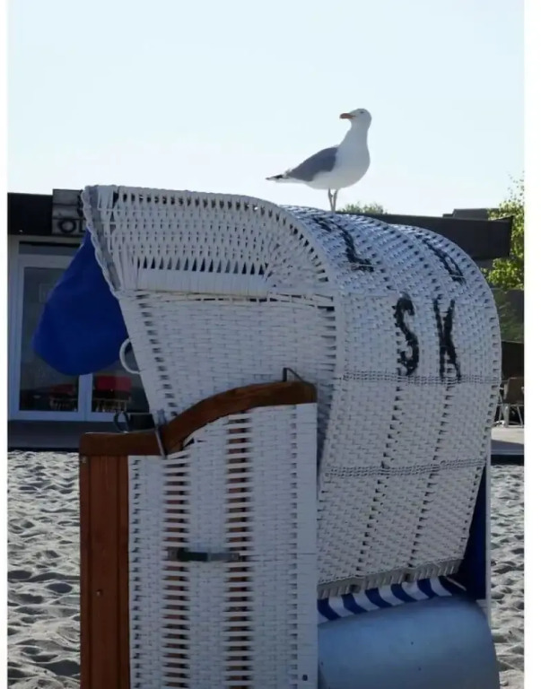 Ostseeblick Berolina