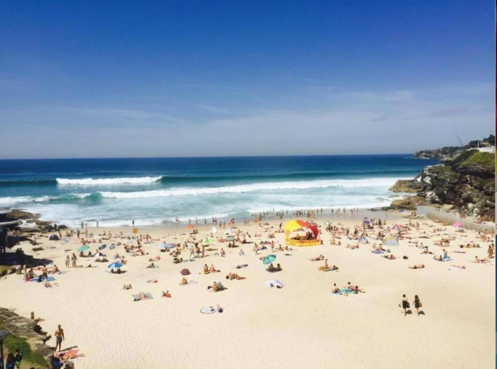 Bondi Beach Haven