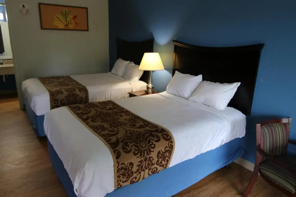 Economy Inn & Suites I-95 Exit 145 - Battleboro