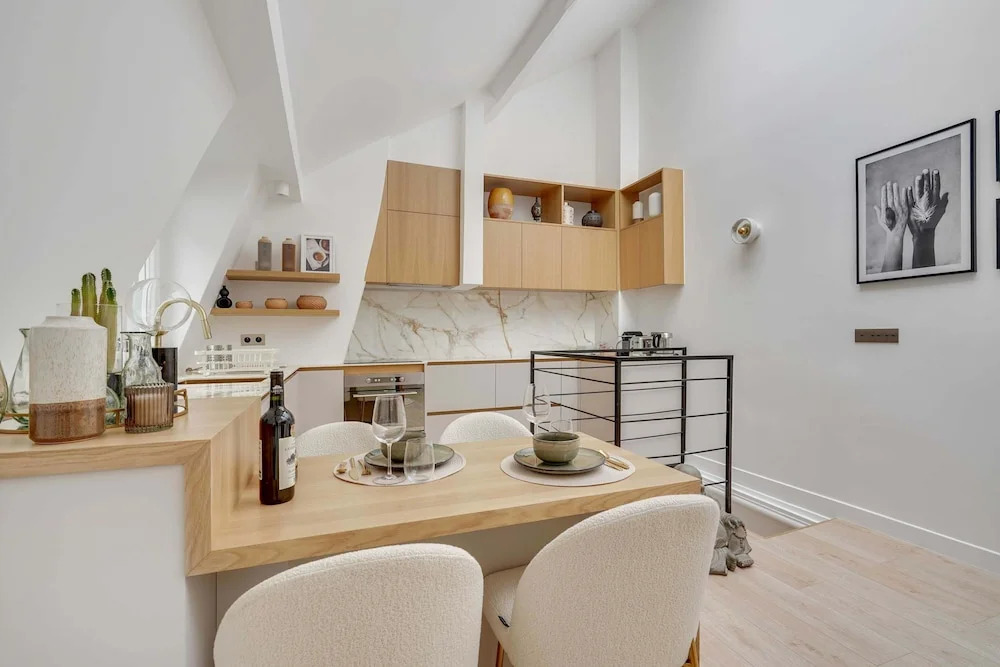 Historical Apartment in the Heart of Paris - 4